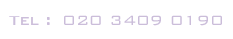 Tel :  020 3409 0190